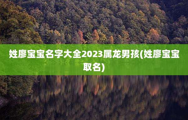 姓廖宝宝名字大全2023属龙男孩(姓廖宝宝取名)