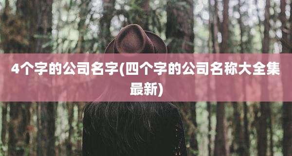 4个字的公司名字(四个字的公司名称大全集最新)