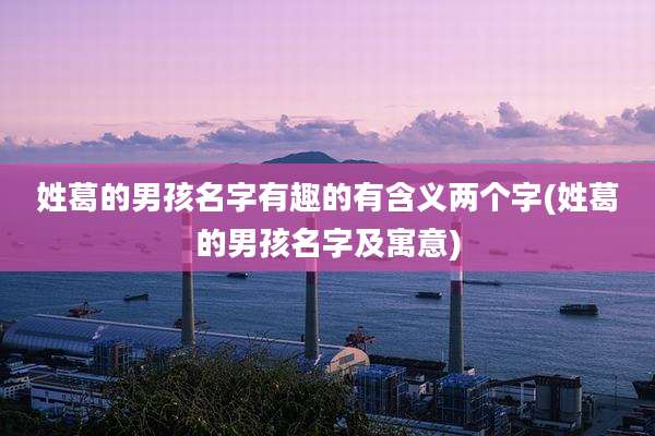 姓葛的男孩名字有趣的有含义两个字(姓葛的男孩名字及寓意)