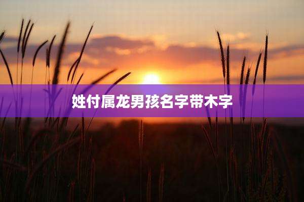 姓付属龙男孩名字带木字