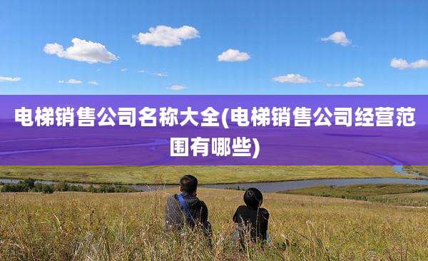 电梯销售公司名称大全(电梯销售公司经营范围有哪些)