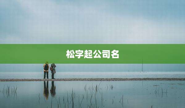 松字起公司名