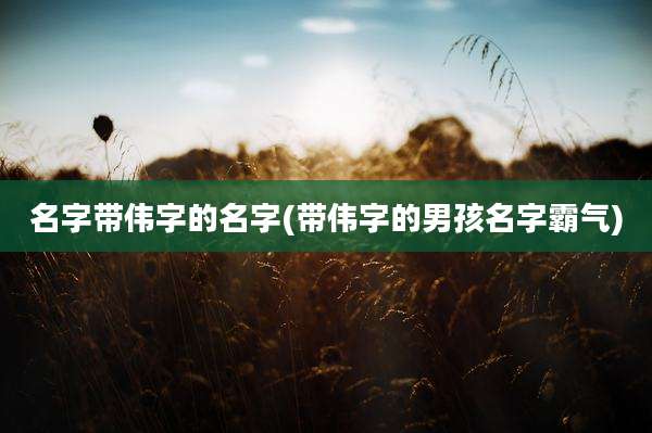 名字带伟字的名字(带伟字的男孩名字霸气)