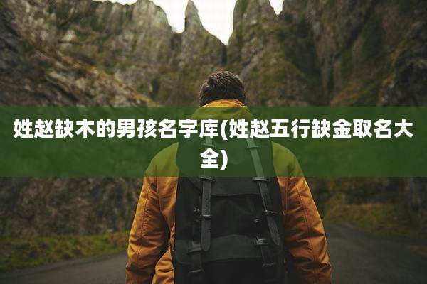 姓赵缺木的男孩名字库(姓赵五行缺金取名大全)