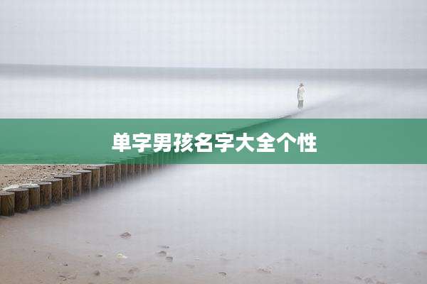 单字男孩名字大全个性