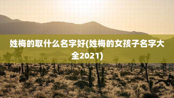 姓梅的取什么名字好(姓梅的女孩子名字大全2021)