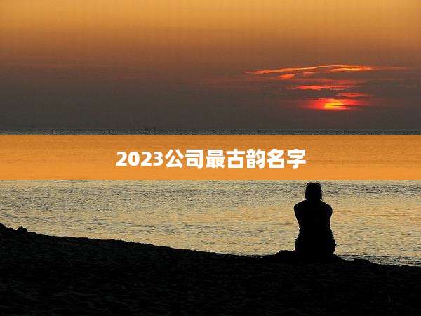 2023公司最古韵名字