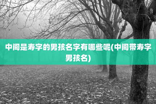 中间是寿字的男孩名字有哪些呢(中间带寿字男孩名)