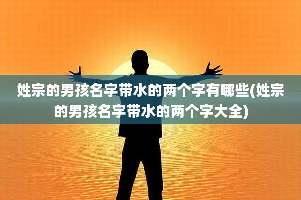 姓宗的男孩名字带水的两个字有哪些(姓宗的男孩名字带水的两个字大全)