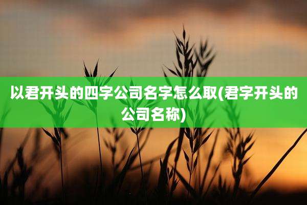 以君开头的四字公司名字怎么取(君字开头的公司名称)