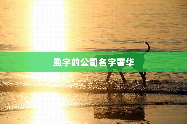 盈字的公司名字奢华