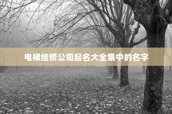 电梯维修公司起名大全集中的名字