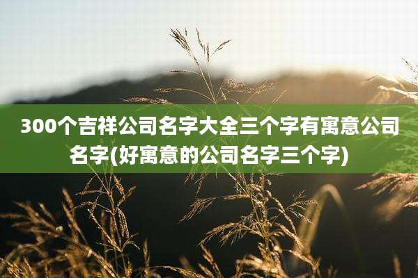 300个吉祥公司名字大全三个字有寓意公司名字(好寓意的公司名字三个字)