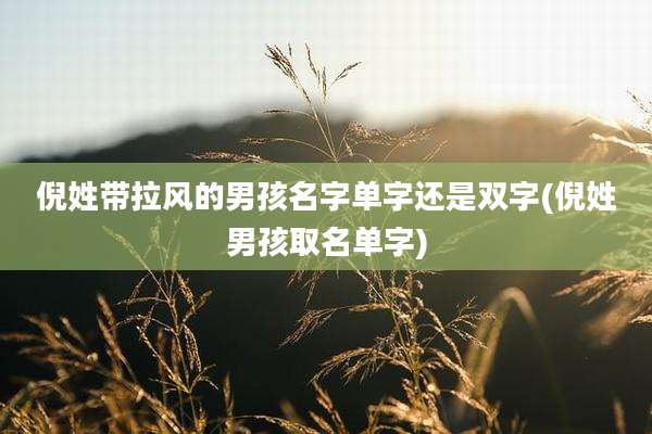倪姓带拉风的男孩名字单字还是双字(倪姓男孩取名单字)