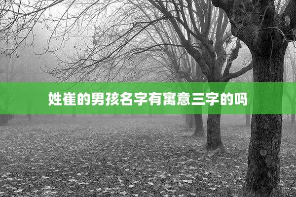 姓崔的男孩名字有寓意三字的吗