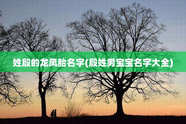 姓殷的龙凤胎名字(殷姓男宝宝名字大全)