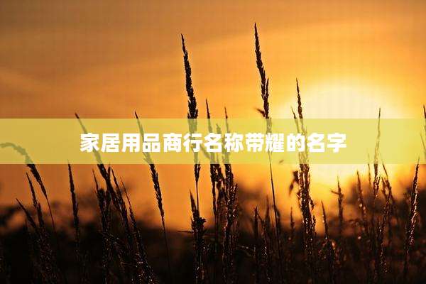 家居用品商行名称带耀的名字