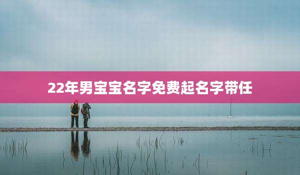 22年男宝宝名字免费起名字带任
