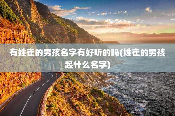 有姓崔的男孩名字有好听的吗(姓崔的男孩起什么名字)