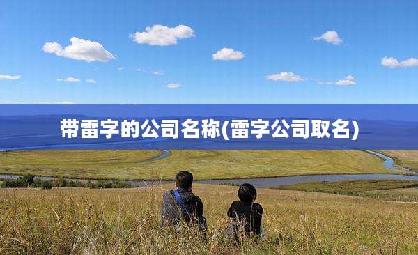 带雷字的公司名称(雷字公司取名)