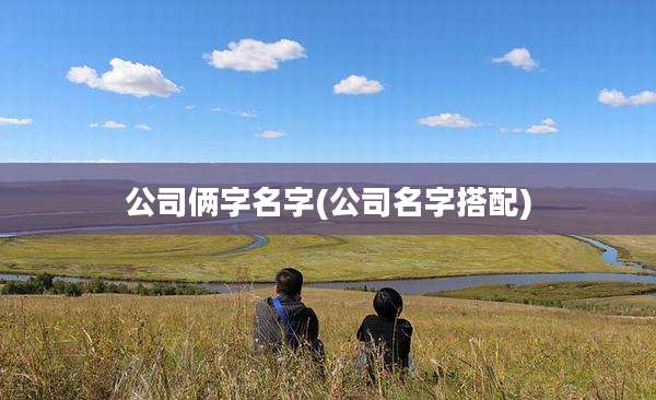 公司俩字名字(公司名字搭配)