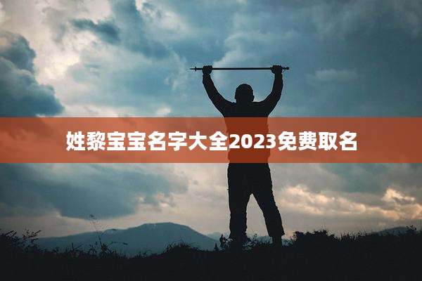 姓黎宝宝名字大全2023免费取名