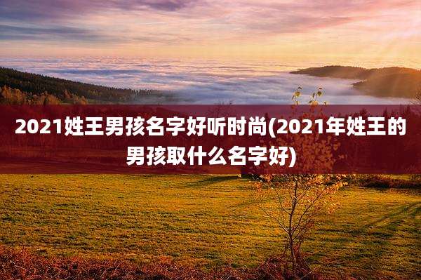 2021姓王男孩名字好听时尚(2021年姓王的男孩取什么名字好)