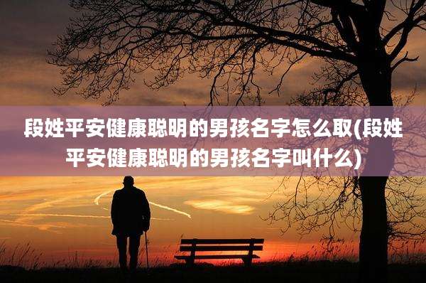 段姓平安健康聪明的男孩名字怎么取(段姓平安健康聪明的男孩名字叫什么)