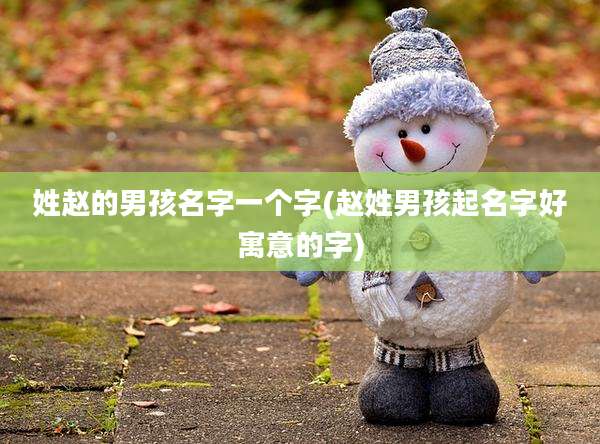 姓赵的男孩名字一个字(赵姓男孩起名字好寓意的字)