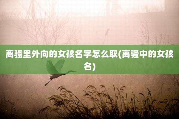 离骚里外向的女孩名字怎么取(离骚中的女孩名)