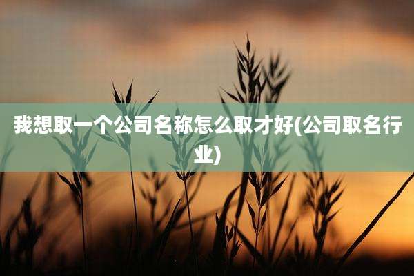 我想取一个公司名称怎么取才好(公司取名行业)