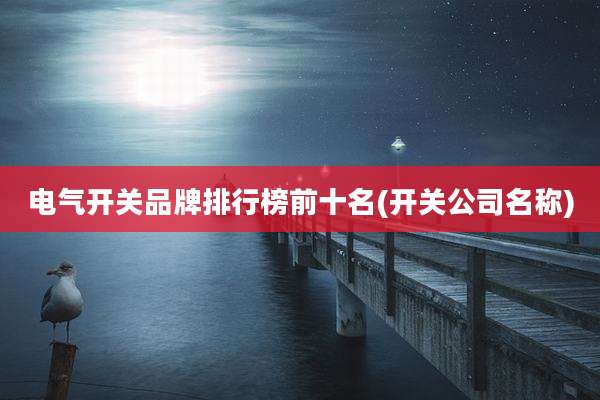 电气开关品牌排行榜前十名(开关公司名称)