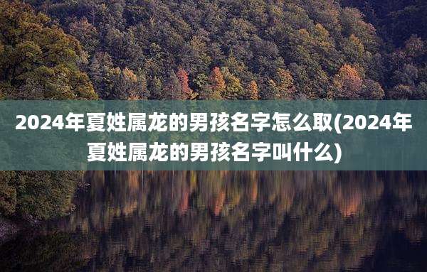 2024年夏姓属龙的男孩名字怎么取(2024年夏姓属龙的男孩名字叫什么)