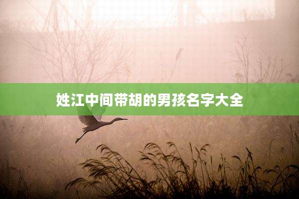 姓江中间带胡的男孩名字大全