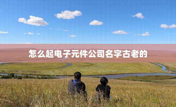 怎么起电子元件公司名字古老的