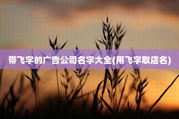 带飞字的广告公司名字大全(用飞字取店名)