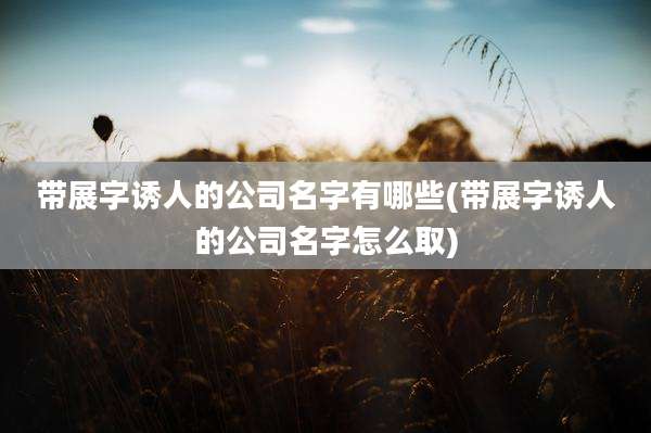 带展字诱人的公司名字有哪些(带展字诱人的公司名字怎么取)
