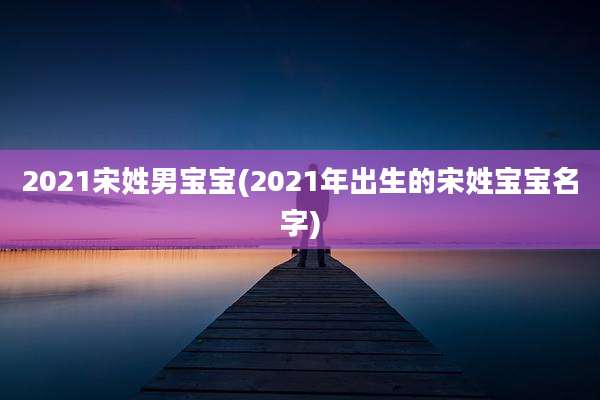 2021宋姓男宝宝(2021年出生的宋姓宝宝名字)