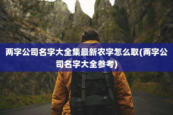 两字公司名字大全集最新农字怎么取(两字公司名字大全参考)