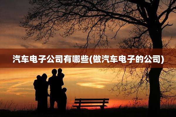 汽车电子公司有哪些(做汽车电子的公司)