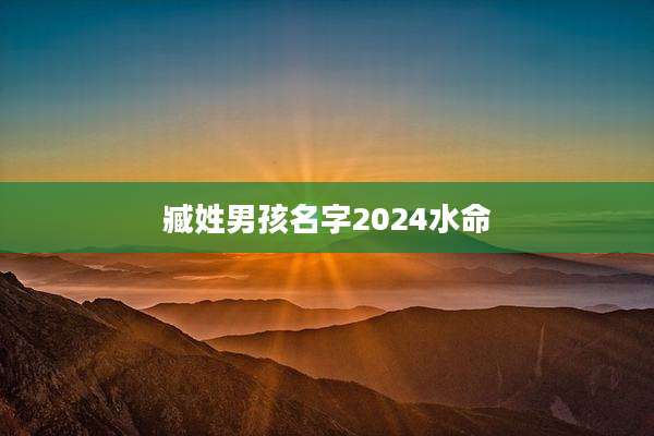 臧姓男孩名字2024水命