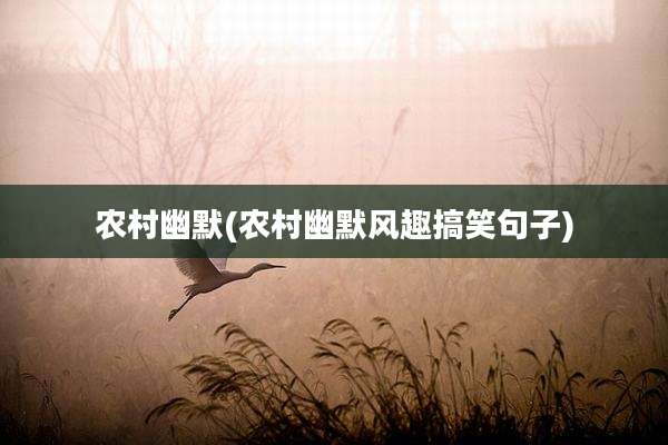 农村幽默(农村幽默风趣搞笑句子)