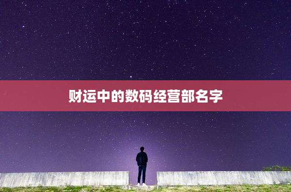 财运中的数码经营部名字