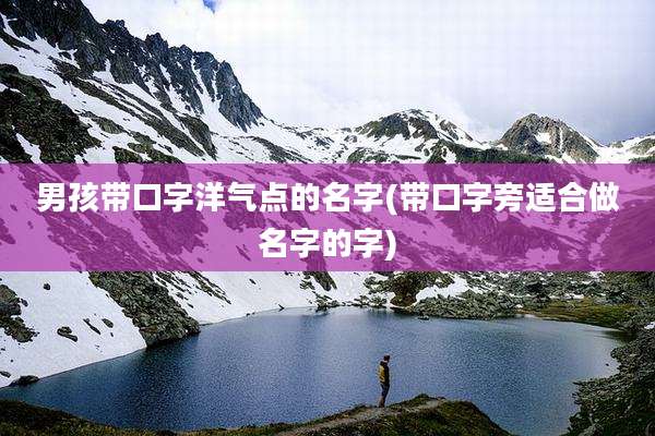 男孩带口字洋气点的名字(带口字旁适合做名字的字)
