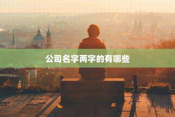 公司名字两字的有哪些