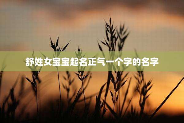 舒姓女宝宝起名正气一个字的名字