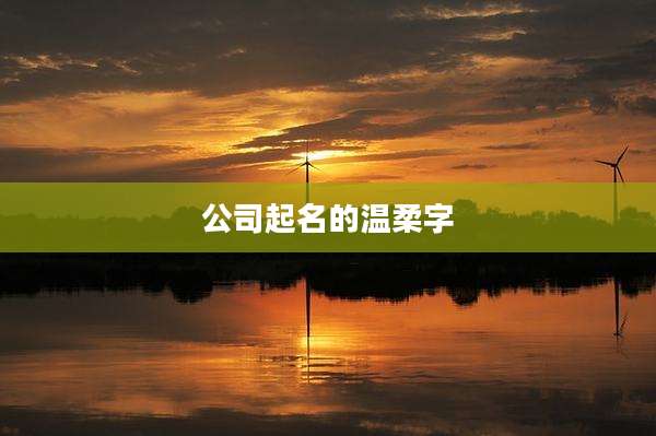 公司起名的温柔字