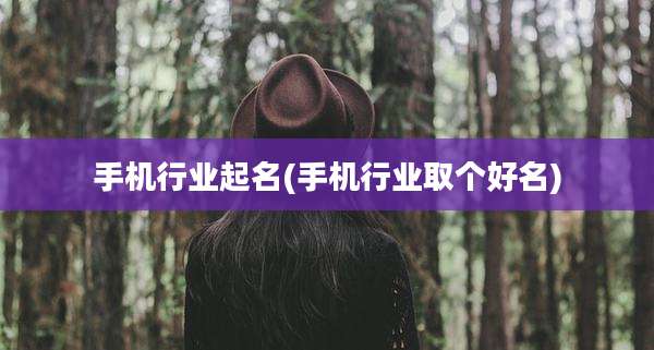 手机行业起名(手机行业取个好名)