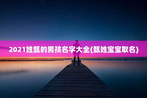 2021姓甄的男孩名字大全(甄姓宝宝取名)