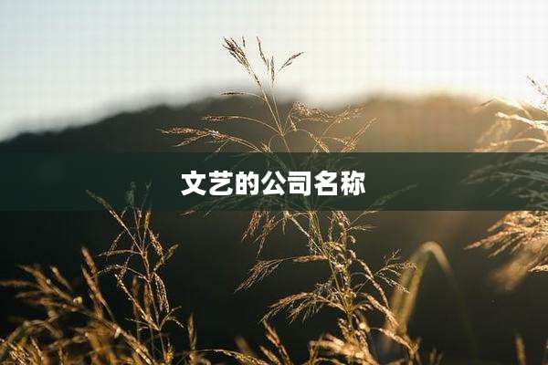 文艺的公司名称